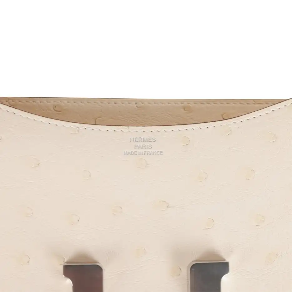 Hermès Constance 18 Nata Ostrich Palladium Hardware (7)