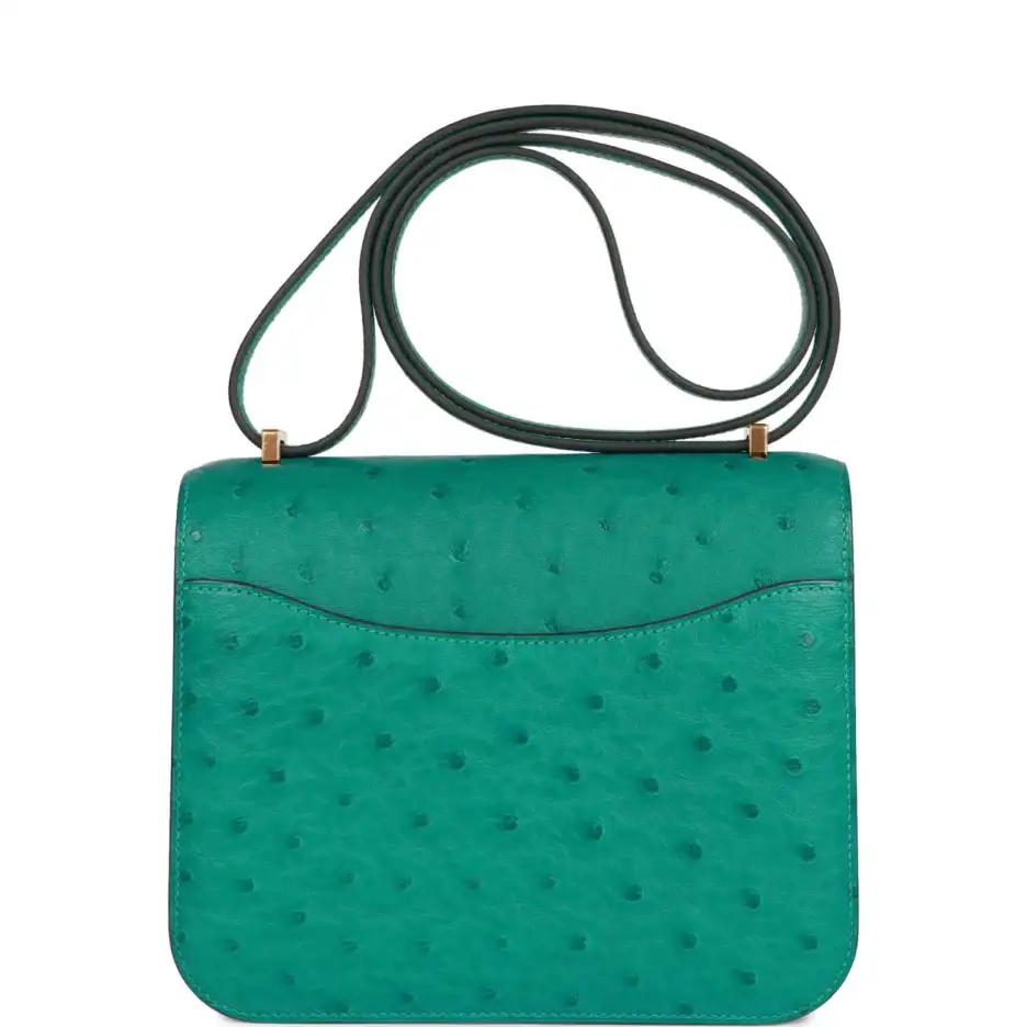 Hermès Constance 18 Vert Verone Ostrich Gold Hardwa (3)