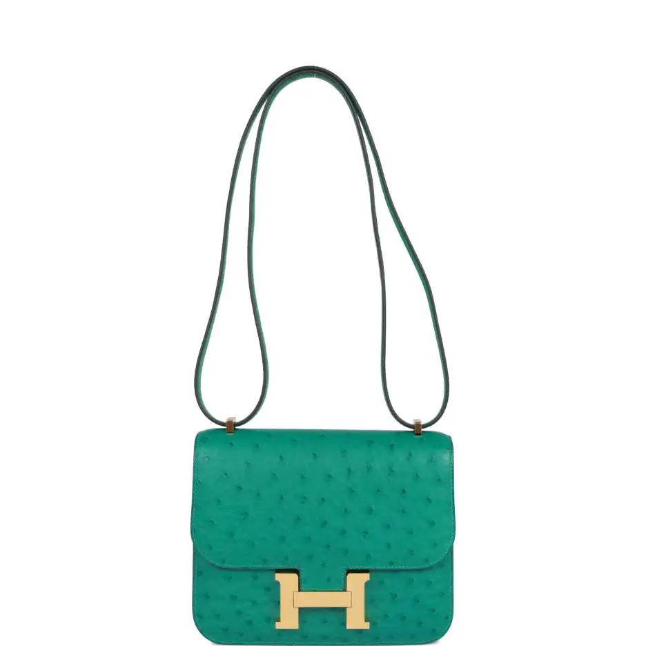 Hermès Constance 18 Vert Verone Ostrich Gold Hardwa (6)