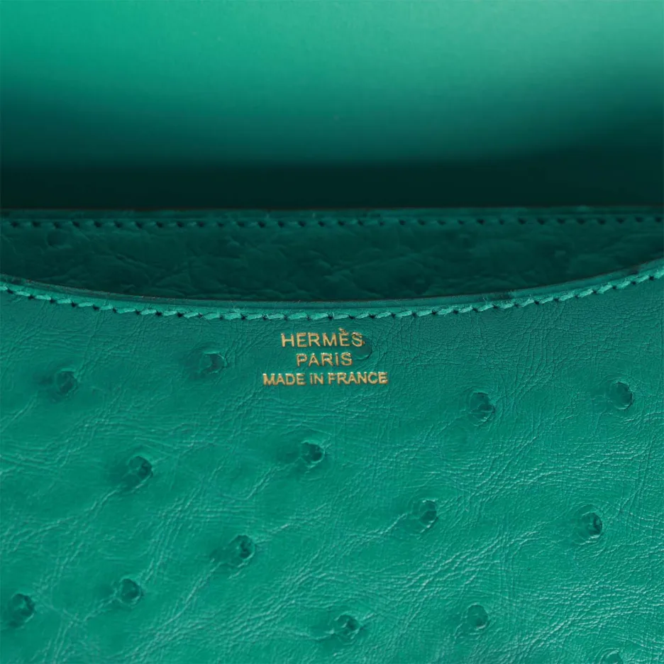 Hermès Constance 18 Vert Verone Ostrich Gold Hardwa (7)
