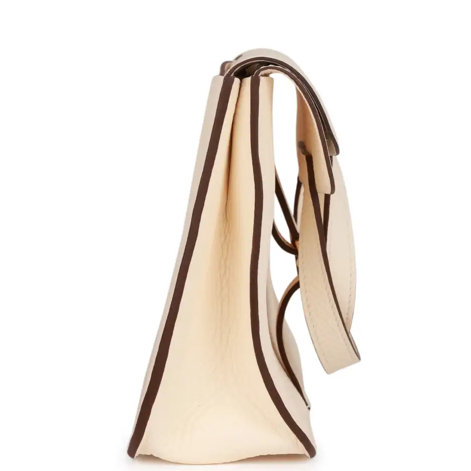 Hermès Halzan 25 Nata Clemence Gold Hardware (2)