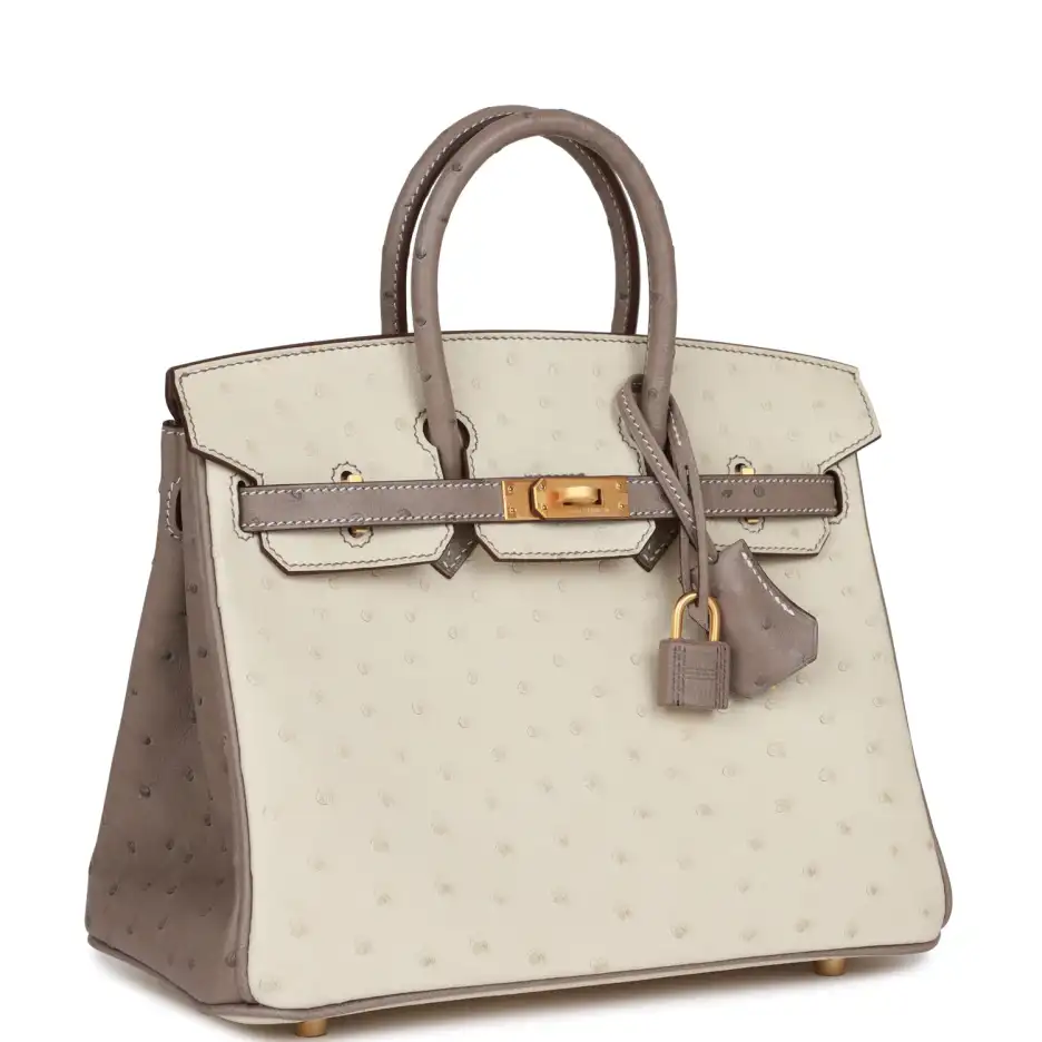 Hermès Special Order (HSS) Birkin 25 Beton and_yyth (1)