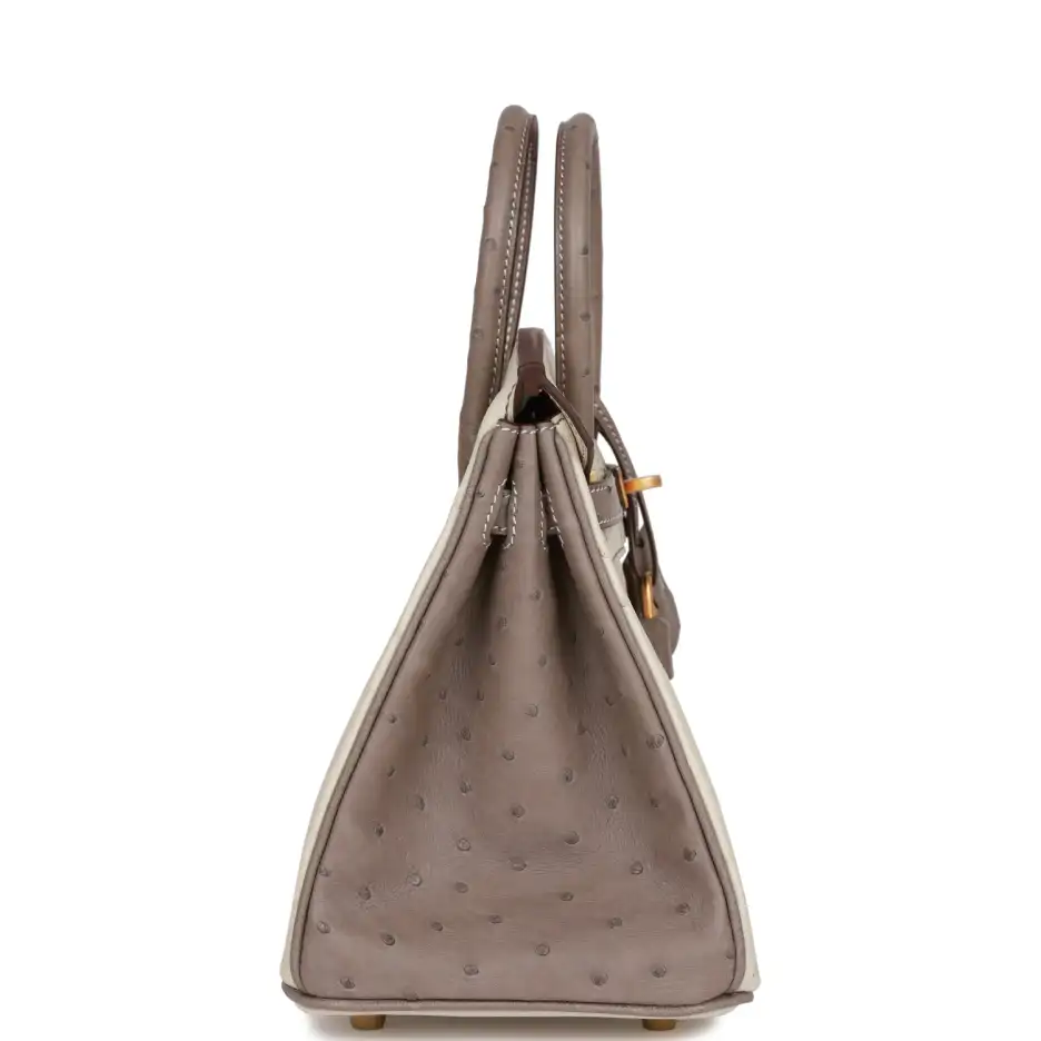 Hermès Special Order (HSS) Birkin 25 Beton and_yyth (2)