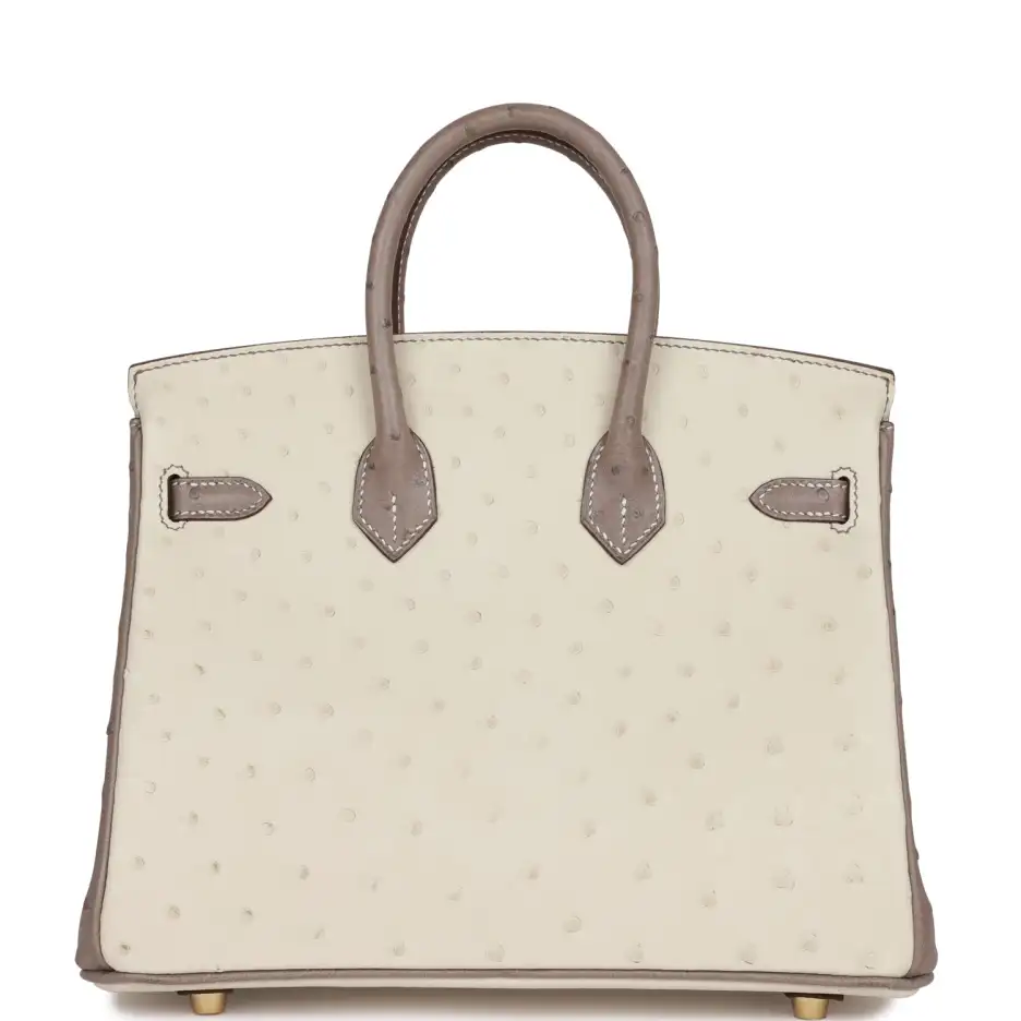 Hermès Special Order (HSS) Birkin 25 Beton and_yyth (3)