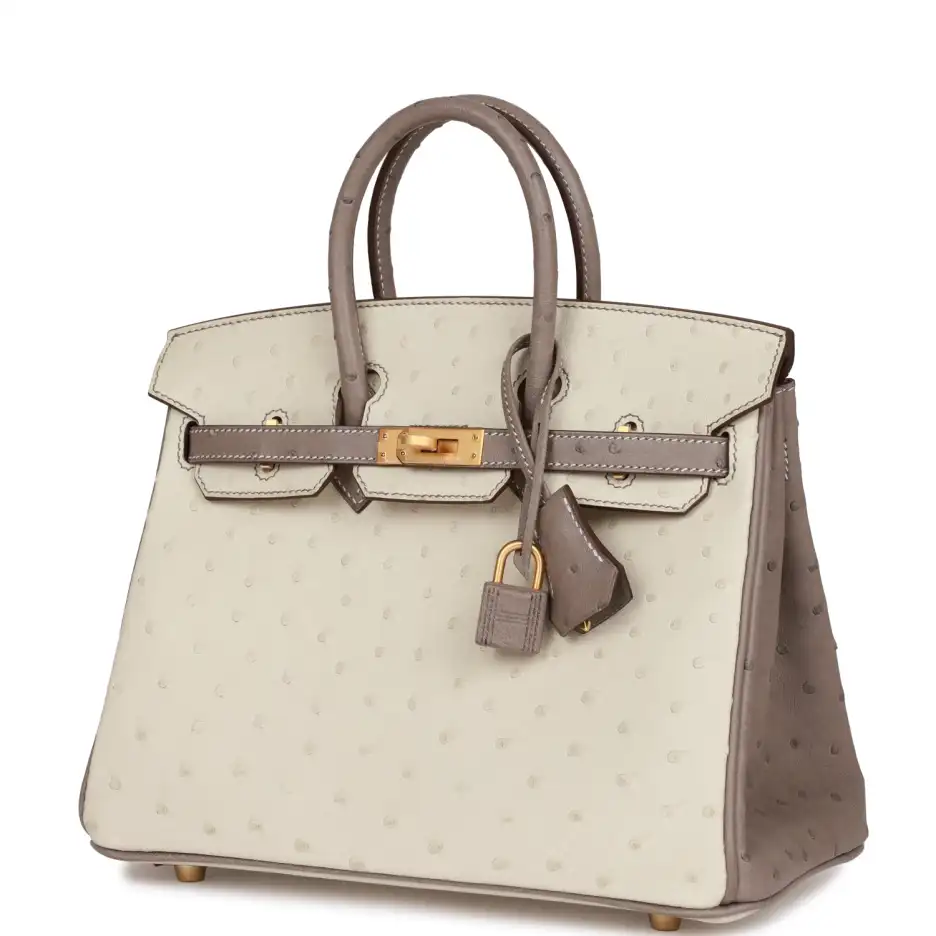Hermès Special Order (HSS) Birkin 25 Beton and_yyth (4)