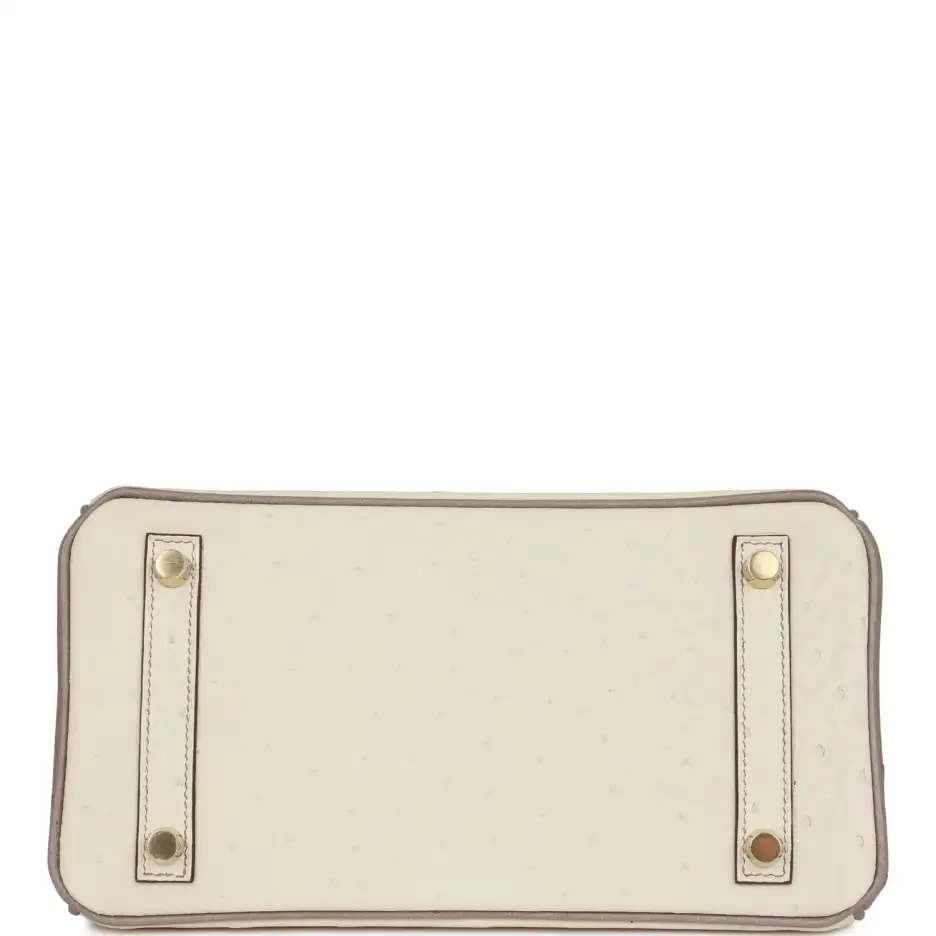 Hermès Special Order (HSS) Birkin 25 Beton and_yyth (5)