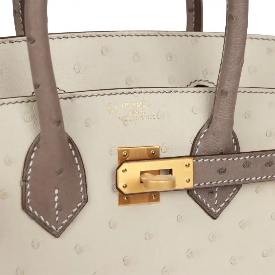 Hermès Special Order (HSS) Birkin 25 Beton and_yyth (6)