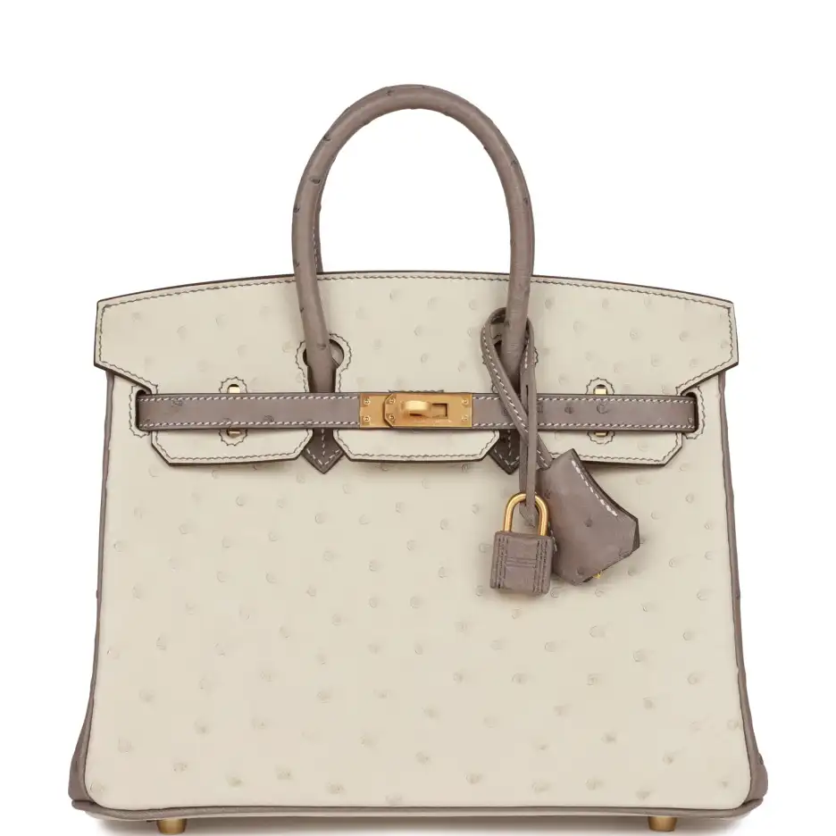 Hermès Special Order (HSS) Birkin 25 Beton and_yyth