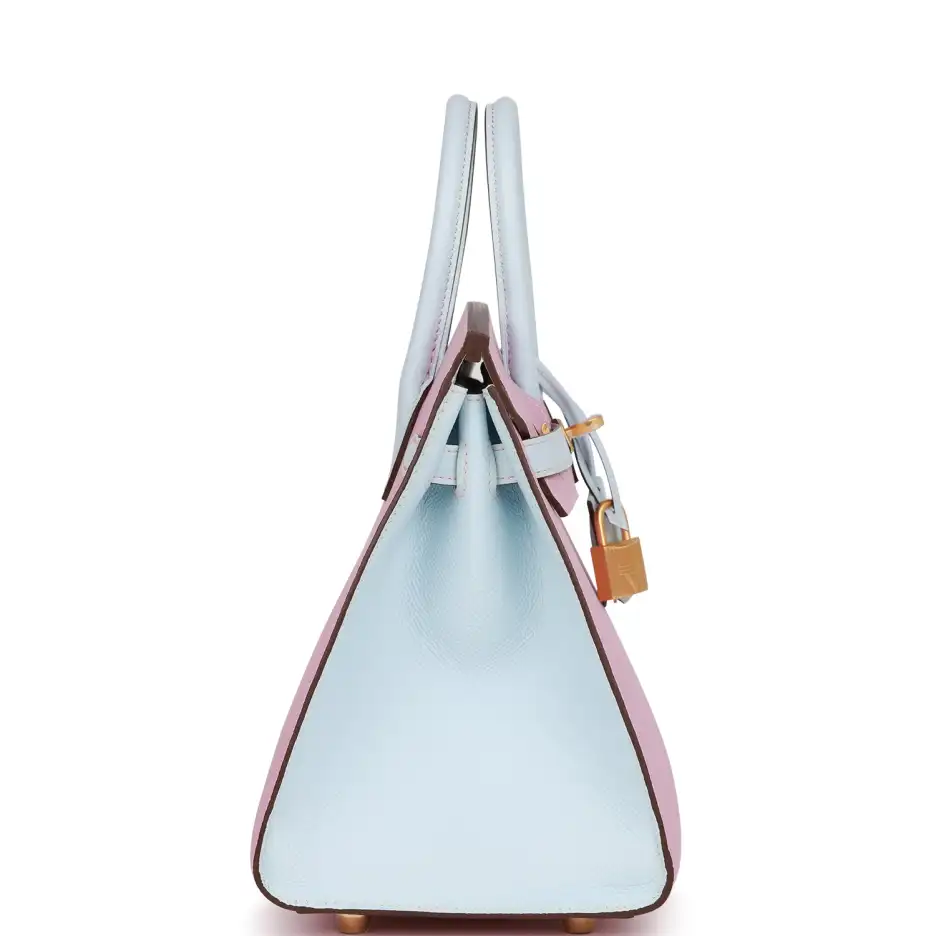 Hermès Special Order (HSS) Birkin Sellier 25 Mauve_ (2)