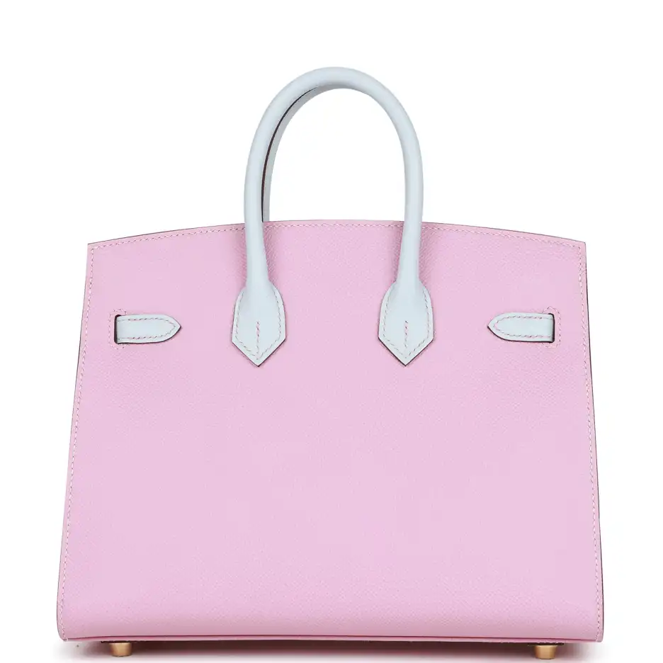 Hermès Special Order (HSS) Birkin Sellier 25 Mauve_ (3)