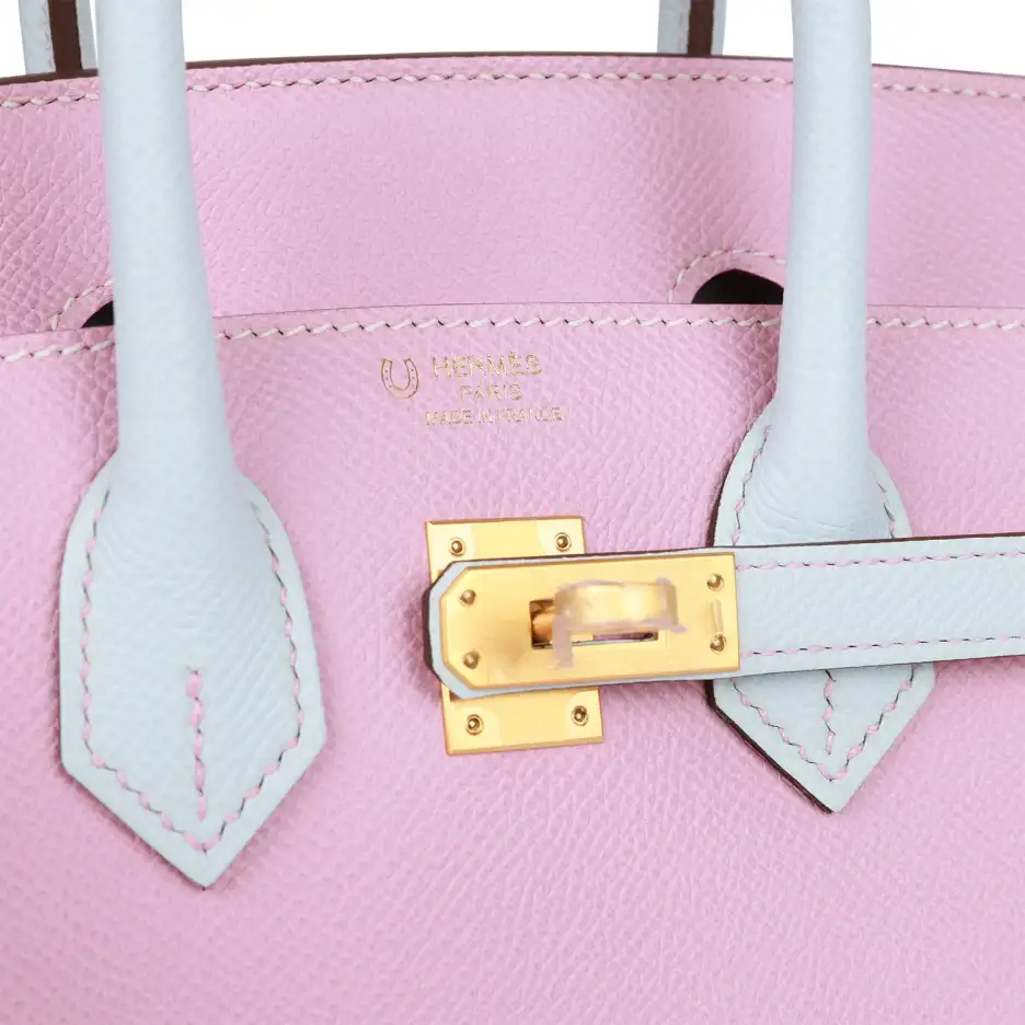 Hermès Special Order (HSS) Birkin Sellier 25 Mauve_ (6)