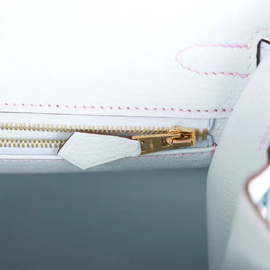 Hermès Special Order (HSS) Birkin Sellier 25 Mauve_ (8)